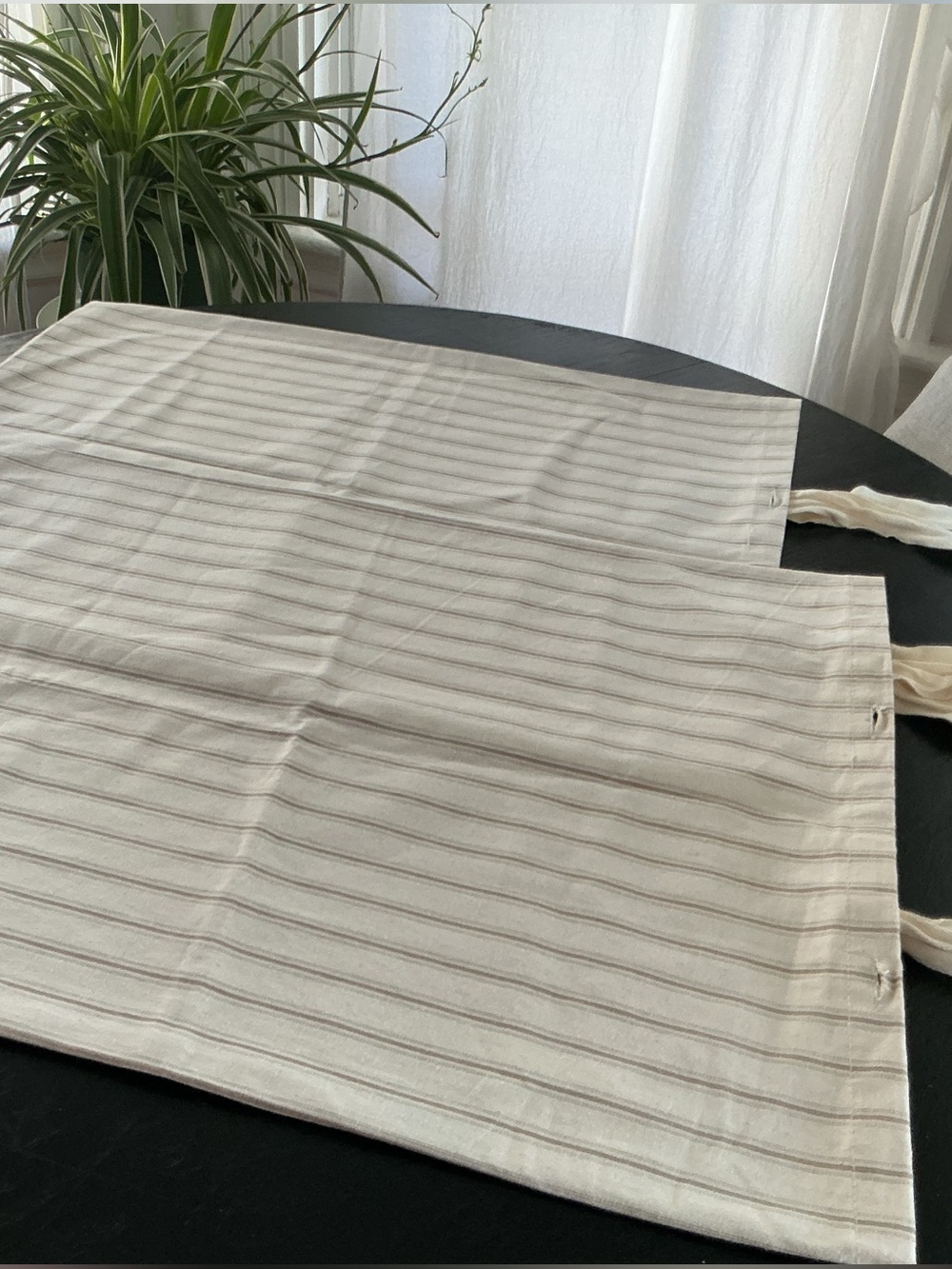 NWOT Pair of Ticking BALLARD SHAMS